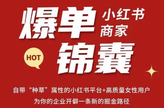无畏·小红书商家爆单锦囊，掌握小红书各大规则，快速精准抢占行业和市场-创业资源库