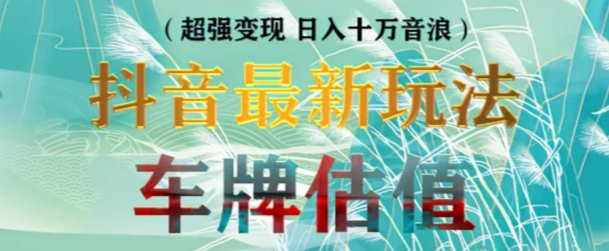 抖音最新无人直播变现直播车牌估值玩法项目，轻松日赚几百+【详细玩法教程】-创业资源库