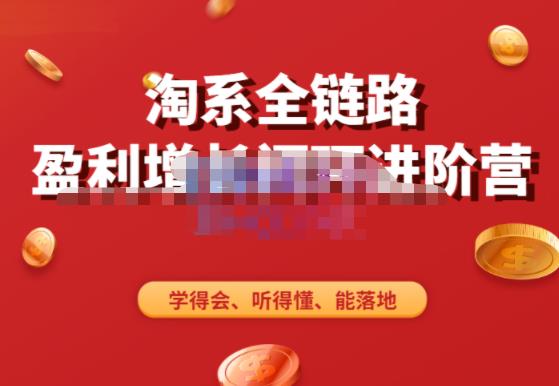淘系全链路盈利增长闭环进阶营，融合全店动销，学得会、听得懂、能落地！-创业资源库