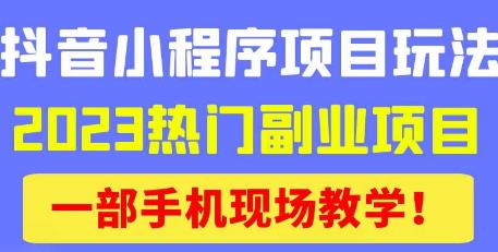 抖音小程序9.0新技巧，2023热门副业项目，动动手指轻松变现-创业资源库