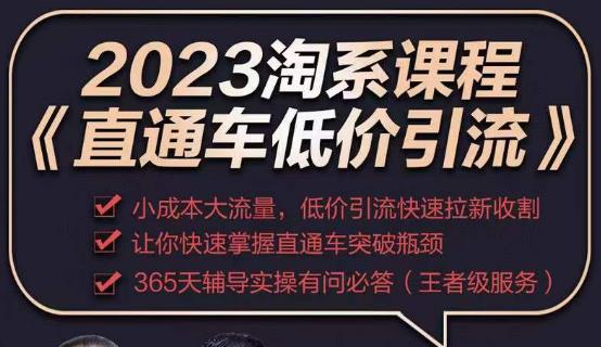 2023直通车低价引流玩法课程，小成本大流量，低价引流快速拉新收割，让你快速掌握直通车突破瓶颈-创业资源库