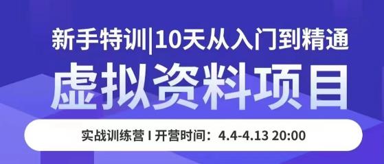 虚拟资料项目新手特训，10天从入门到精通，保姆级实操教学-创业资源库