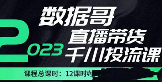 数据哥2023直播电商巨量千川付费投流实操课，快速掌握直播带货运营投放策略-创业资源库