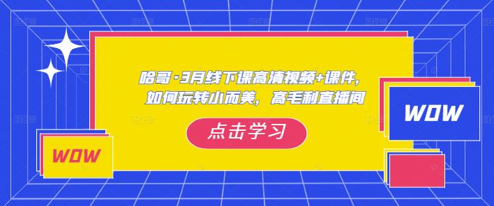 哈哥·3月线下实操课高清视频+课件，如何玩转小而美，高毛利直播间-创业资源库