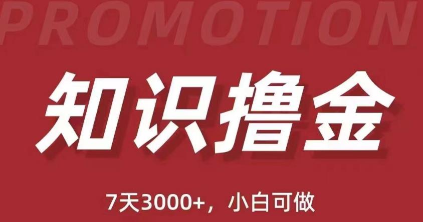 抖音知识撸金项目：简单粗暴日入1000+执行力强当天见收益(教程+资料)-创业资源库