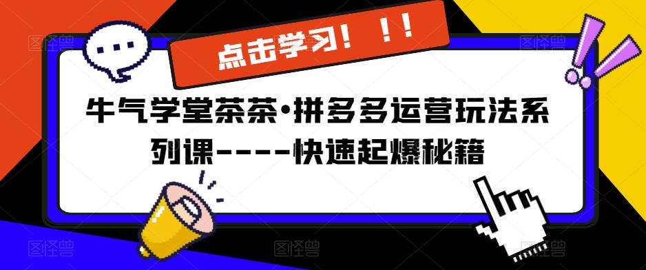 牛气学堂茶茶•拼多多运营玩法系列课—-快速起爆秘籍【更新】-创业资源库