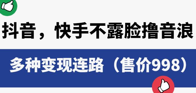 抖音快手不露脸撸音浪项目，多种变现连路（售价998）-创业资源库