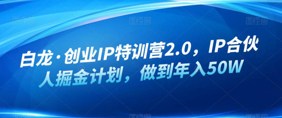 白龙·创业IP特训营2.0，IP合伙人掘金计划，做到年入50W-创业资源库