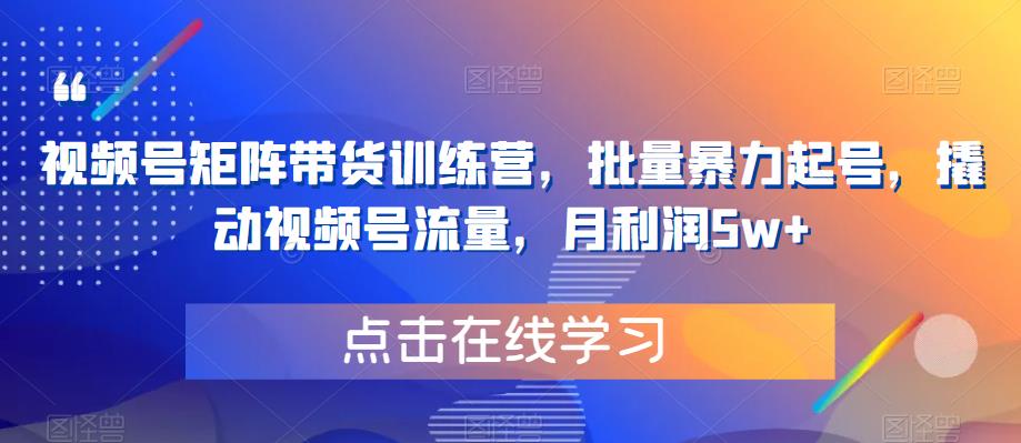 视频号矩阵带货训练营，批量暴力起号，撬动视频号流量，月利润5w+-创业资源库