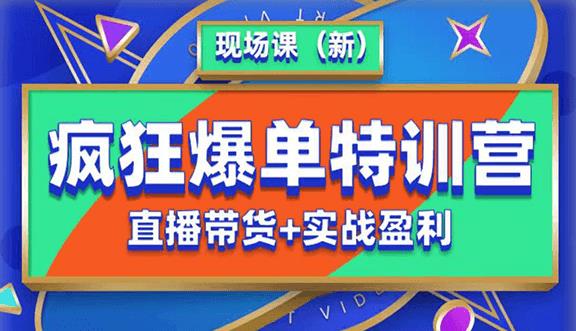 抖音短视频疯狂爆单特训营现场课（新）直播带货+实战案例-创业资源库