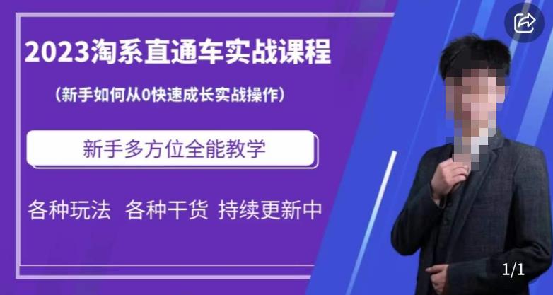 2023淘系直通车保姆式运营讲解，新手如何从0快速成长实战操作，新手多方位全能教学-创业资源库