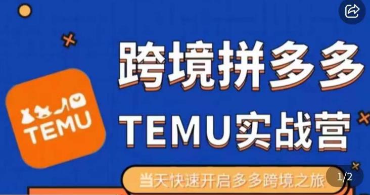 大鹏出海·拼多多跨境temu运营指导，开店注册+选品+核价上架，日出千单实战课-创业资源库