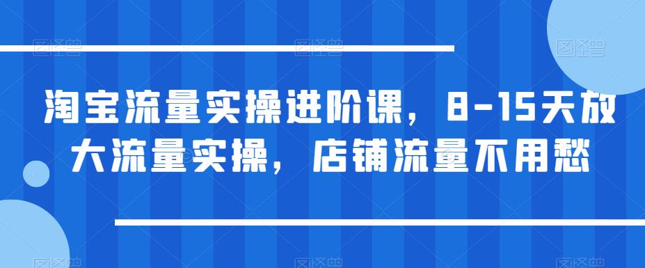 淘宝流量实操进阶课，8-15天放大流量实操，店铺流量不用愁-创业资源库