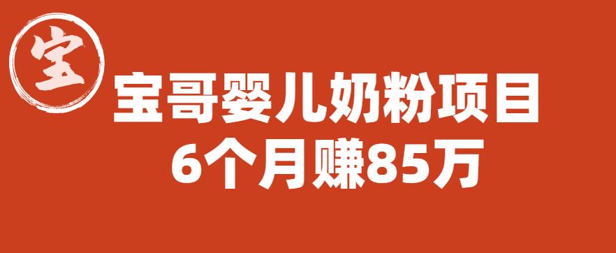 宝哥婴儿奶粉项目，6个月赚85w【图文非视频】【揭秘】-创业资源库