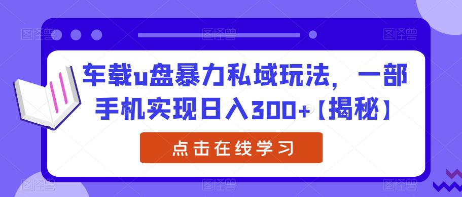 车载u盘暴力私域玩法，一部手机实现日入300+【揭秘】-创业资源库