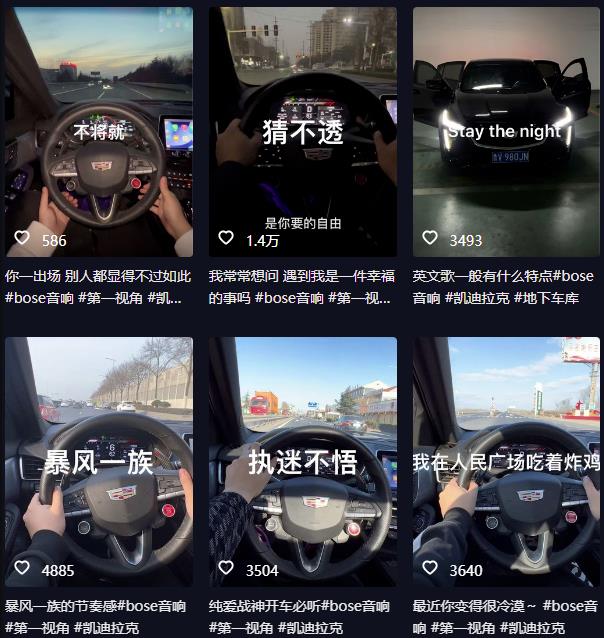 抖音开车视频项目，0基础操作，每天五分钟，月入1W+【揭秘】-创业资源库