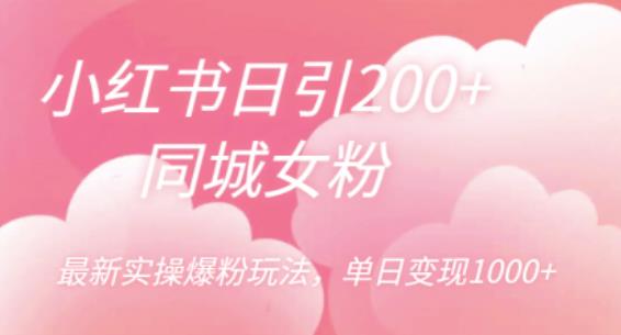 小红书日引200+同城女粉，最新实操爆粉玩法，单日变现1000+【揭秘】-创业资源库