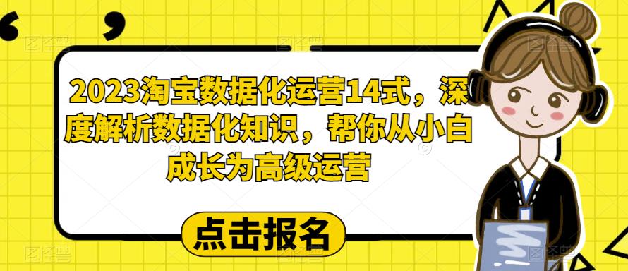 2023淘宝数据化运营14式，深度解析数据化知识，帮你从小白成长为高级运营-创业资源库