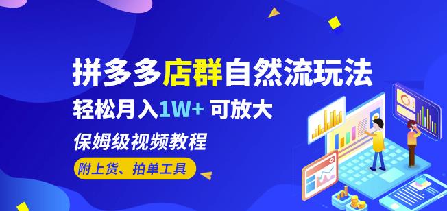 拼多多店群自然流玩法，轻松月入1W+保姆级视频教程（附上货、拍单工具）-创业资源库