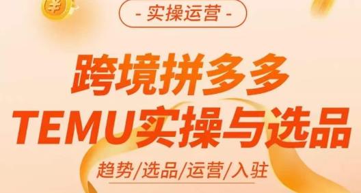 伍跃·跨境拼多多TEMU实操与选品，​趋势/选品/运营/入住（27节完整）-创业资源库