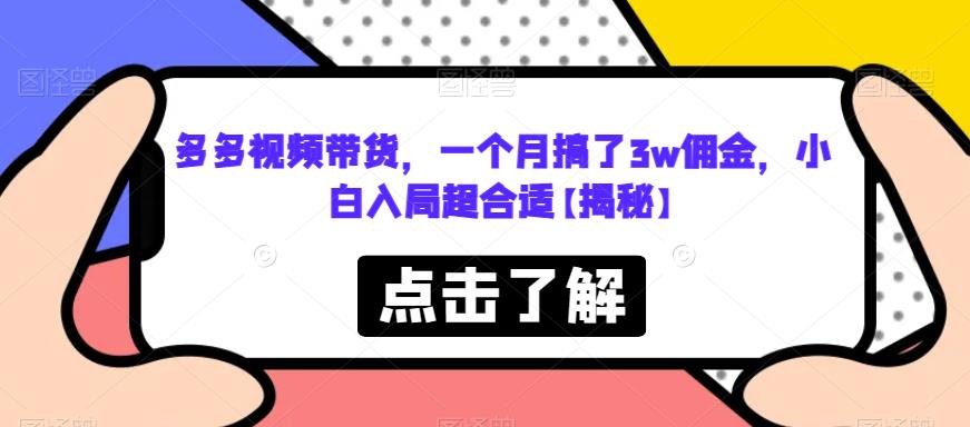 多多视频带货，一个月搞了3w佣金，小白入局超合适【揭秘】-创业资源库