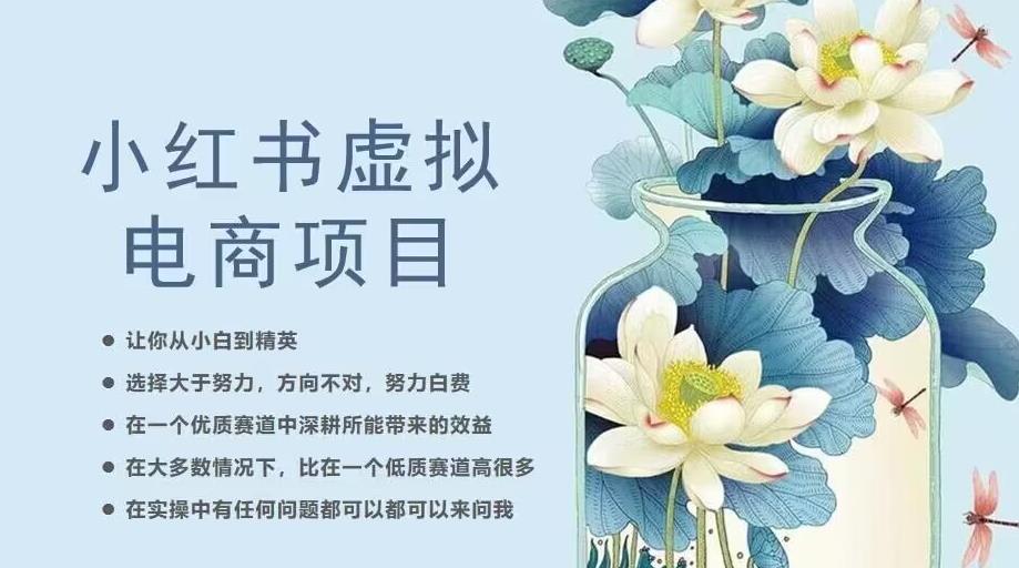 小红书虚拟电商从0到1，让你从小白到精英（20节实操课程）-创业资源库