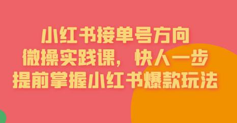 接单号方向·小红书微操实践课，快人一步，提前掌握小红书爆款玩法-创业资源库