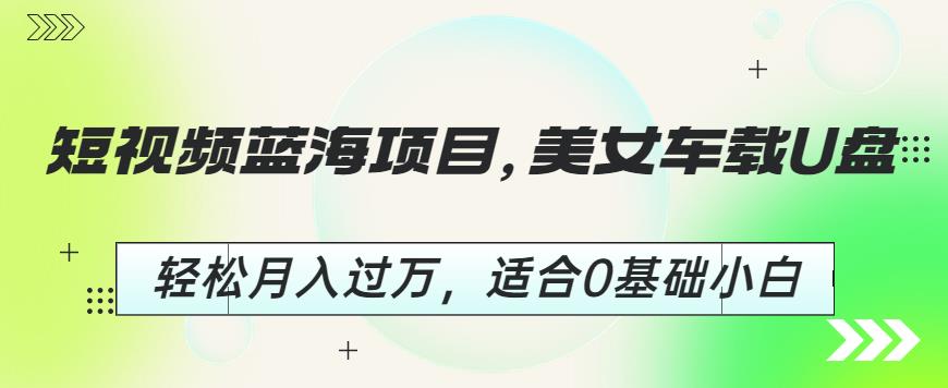 短视频蓝海项目，美女车载U盘，轻松月入过万，适合0基础小白【揭秘】-创业资源库