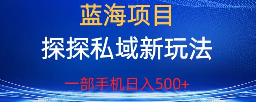 蓝海项目，探探私域新玩法，一部手机日入500+很轻松【揭秘】-创业资源库