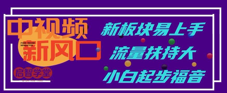 中视频新风口，新板块易上手，流量扶持大，小白起步福音【揭秘】-创业资源库