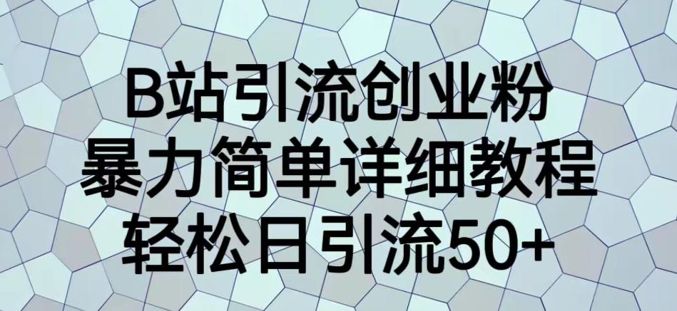 B站引流创业粉，暴力简单详细教程，轻松日引流50+【揭秘】-创业资源库