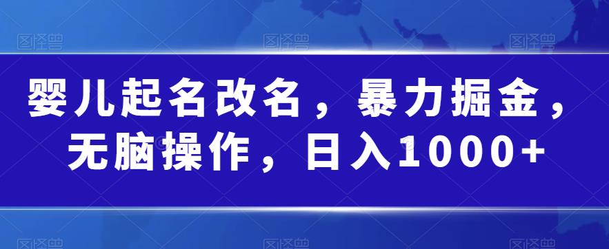 婴儿起名改名，暴力掘金，无脑操作，日入1000+【揭秘】-创业资源库