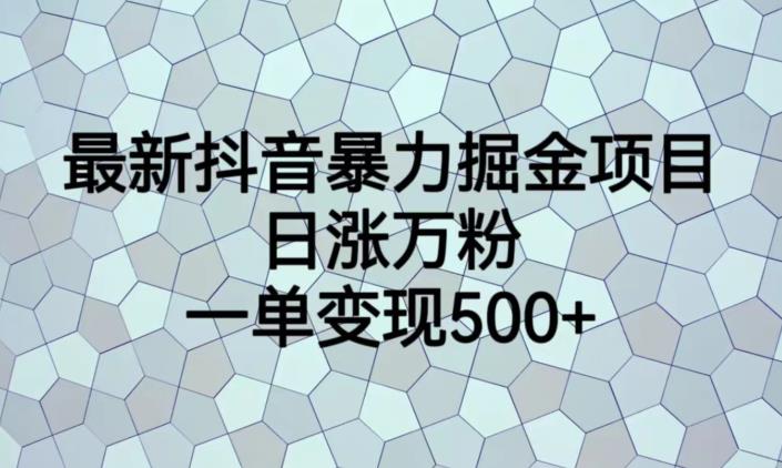 最新抖音暴力掘金项目，日涨万粉，一单变现500+【揭秘】-创业资源库