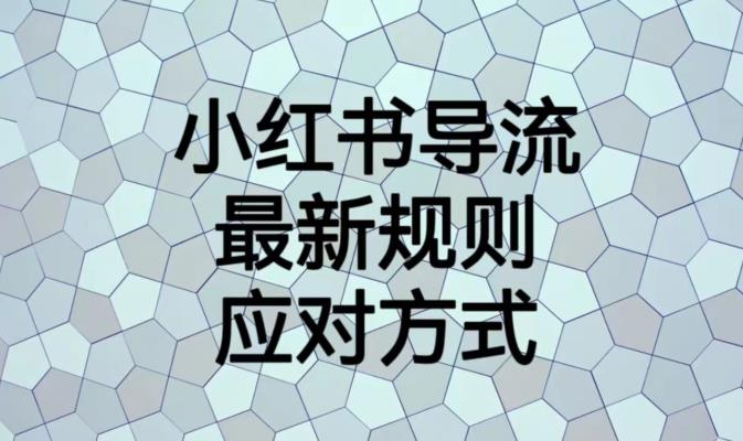小红书导流最新规则应对方式【揭秘】-创业资源库