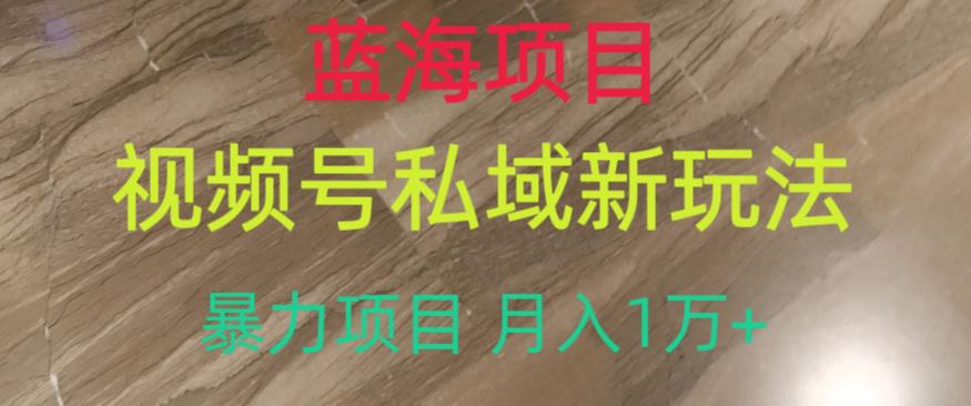 蓝海项目，视频号私域新玩法，暴力项目月入1万+【揭秘】-创业资源库