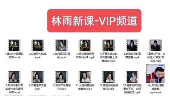 林雨新课VIP频道，玩赚私域/朋友圈/社群-创业资源库