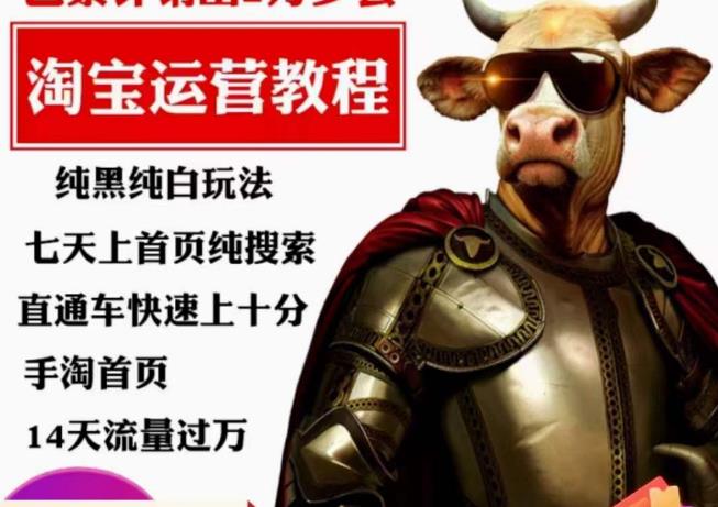 猫老师·淘系算法逆向解密，​纯黑纯白玩法，七天上首页纯搜索，手淘首页14天流量过万-创业资源库