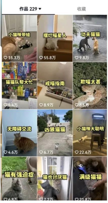 拆解：抖音盘点类中视频变现副业项目，视频版一条龙大解析分享给你-创业资源库