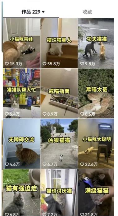 拆解抖音盘点类中视频变现副业项目，视频版一条龙大解析分享给你【视频课程】-创业资源库