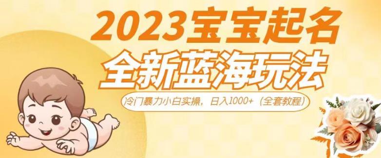 2023宝宝起名全新蓝海玩法，冷门暴力小白实操，日入1000+（全套教程）【揭秘】-创业资源库