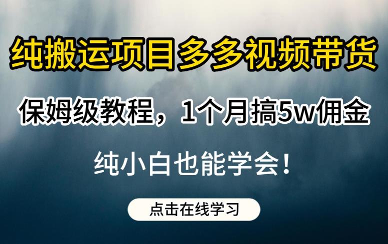 纯搬运项目多多视频带货保姆级教程，1个月搞5w佣金，纯小白也能学会【揭秘】-创业资源库