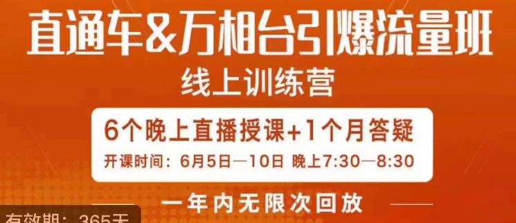 直通车&万相台引爆流量班，6天打通你开直通车·万相台的任督二脉-创业资源库