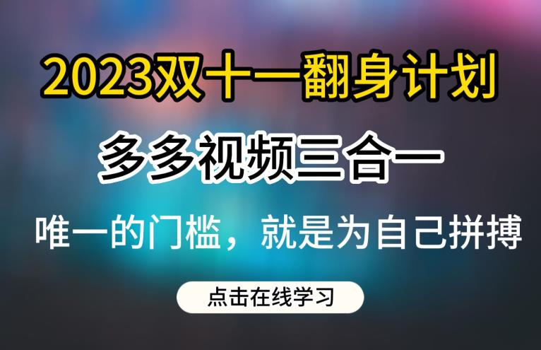2023双十一翻身计划，多多视频带货三合一玩法教程【揭秘】-创业资源库