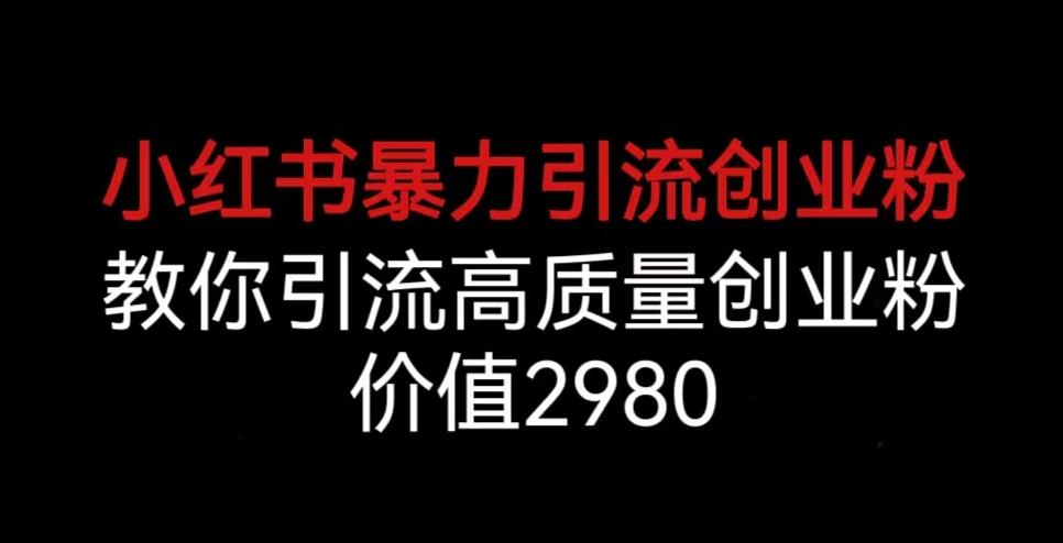 小红书暴力引流创业粉，教你引流高质量创业粉，价值2980【揭秘】-创业资源库