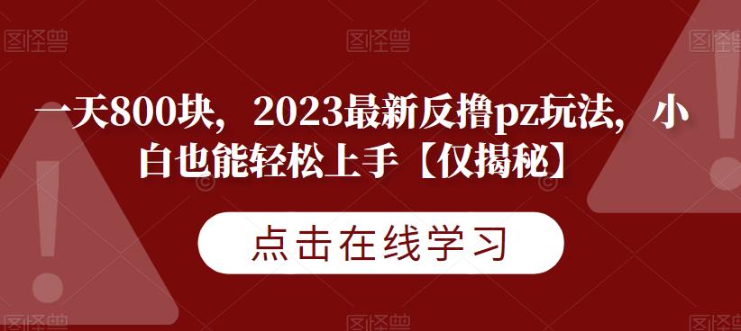 一天800块，2023最新反撸pz玩法，小白也能轻松上手【仅揭秘】-创业资源库