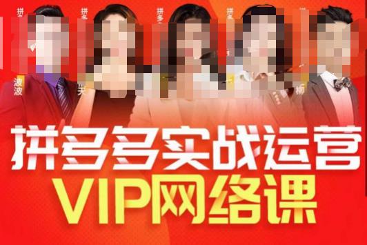 推易拼多多VIP全套直播课程，拼多多店铺实操玩法+实战玩法选款内功+直通车高阶等-创业资源库