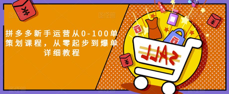 拼多多新手运营从0-100单策划课程，从零起步到爆单详细教程-创业资源库