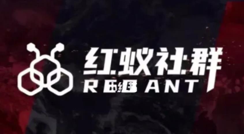 社群运营：红蚁社群【48节落地系统课程+2000人高端社群】-创业资源库