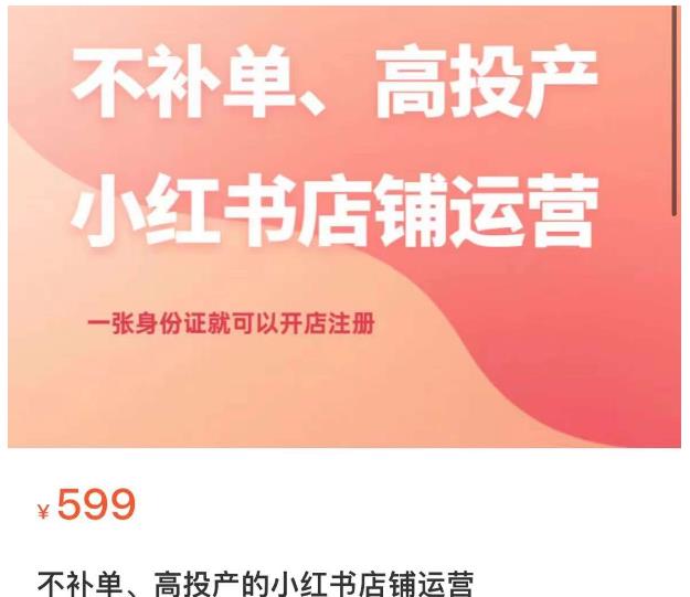 不补单、高投产的小红书店铺运营，一张身份证就可以开店注册-创业资源库