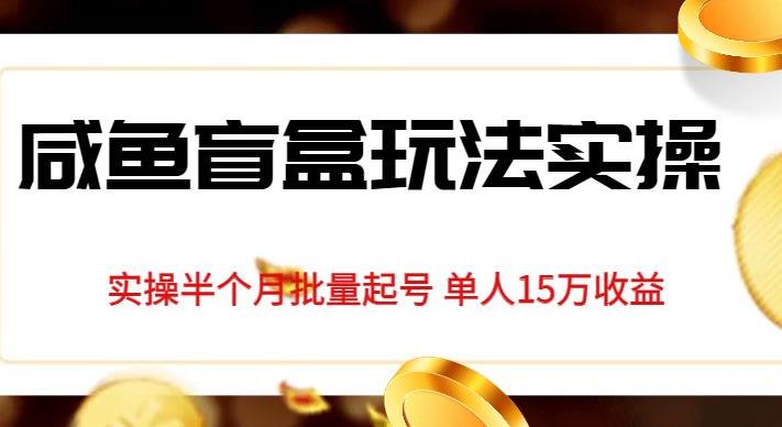 独家首发咸鱼盲盒玩法实操，半个月批量起号单人15万收益【揭秘】-创业资源库